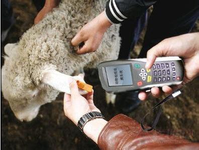 ����Ƶ�ֳֻ�ͼ