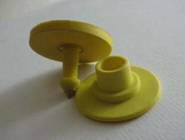 ������ͼƬ