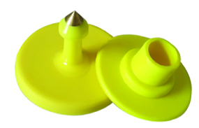 ����ƵԲ�ε��Ӷ���